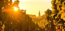 Munich outlook