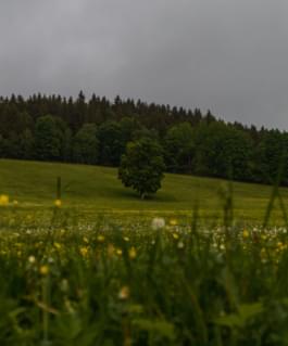 Parque Nacional de Sumava