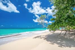 Las Terrenas