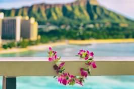 Catena di fiori a Honolulu, Hawaii