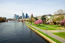 Frankfurt am Main