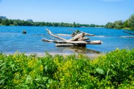 Het Gifiz-meer in Baden-Württemberg