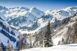 Paisaje de invierno en Allgäu