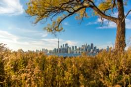 Herfst in Toronto