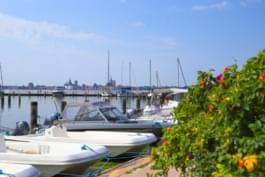 Jachthaven bij Stralsund in de zomer