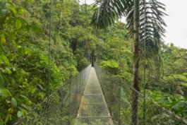 Jungla en Costa Rica