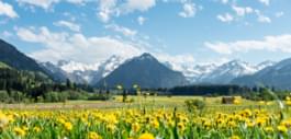 El estado de ánimo de la primavera en Allgäu