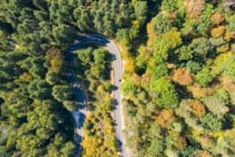 Herfstpanorama in het Taunusgebergte