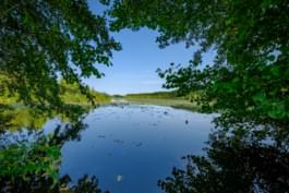 Seenlandschaft Brandenburg