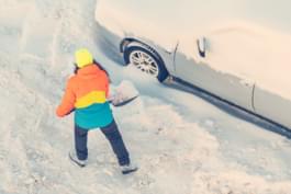 Kehrschaufel Winter Auto