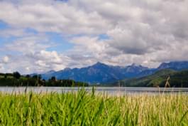 Weissensee