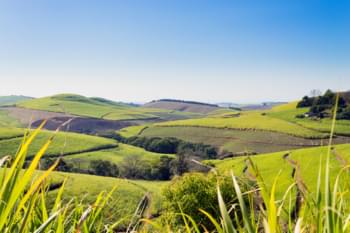 KwaZulu Natal