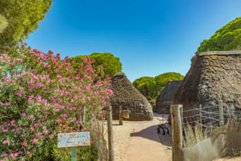 Donana National park Seville
