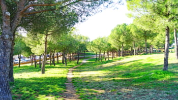 Parc Catalunya