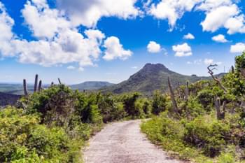 Mit dem Mietwagen Curaçao erkunden
