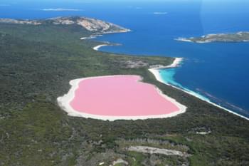 Pink Lake in Australia Occidentale