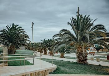 Park with palm trees in Puerto del Rosario