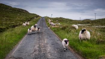 Unterwegs in Schottland