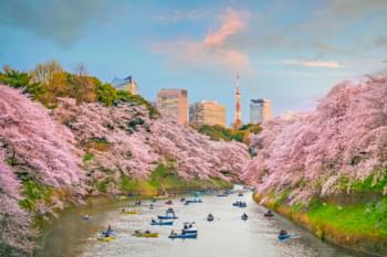 Parque Chidorigafuchi en Tokio
