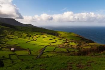 Landscape of Pico