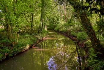 Fluss Delme in Delmenhorst