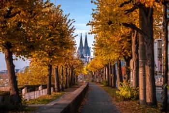 Keulen in de herfst