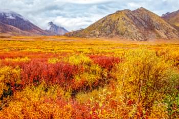 Paesaggio autunnale in Canada