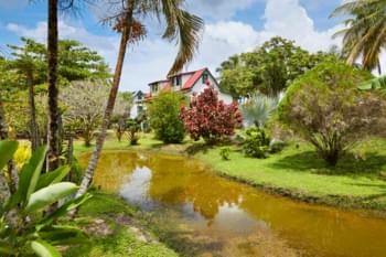 Former plantation in Suriname