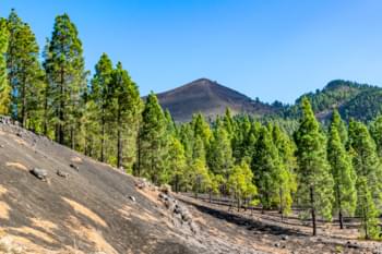 Paesaggio La Palma
