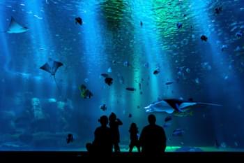 Oceanopolis Bretagne