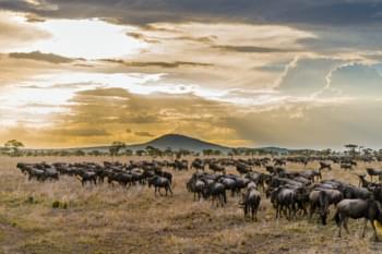 Serengeti, Tanzania