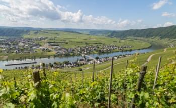 Aussicht auf Wittlich