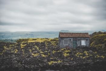 House at the lava vinceyards of Pico
