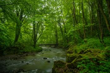 El bosque de Aquisgrán