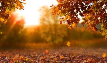 Panorama d'autunno