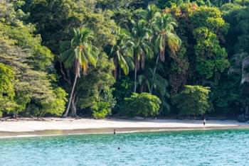 plage manuel antonio forêt tropical costa Rica