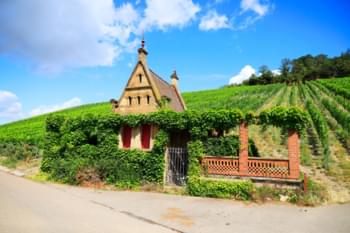 Viñedos de Heilbronn