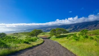 Weg in Hawaii