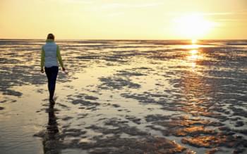 Mare di Wadden Germania