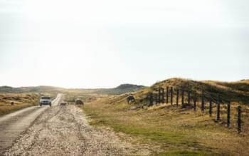 Lanfschadt auf Sylt mit Auto