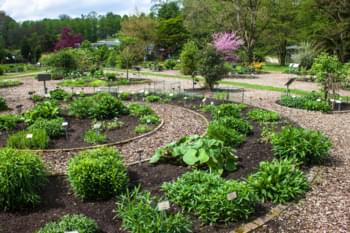 Botanische tuin in Münster
