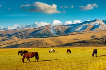 La natura nei dintorni di Almaty