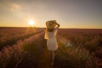 Erkunden Sie Südfrankreich