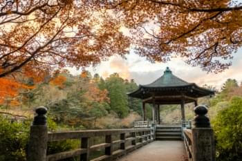 Tempel in Narita in de herfst