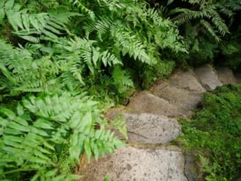 Pad naar de botanische tuin in Göttingen