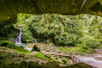 La cueva del murciélago de Sanmin