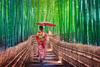 Bamboebos in Kyoto