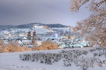 View of Winterthur in Winter