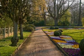 Park Graft in Delmenhorst