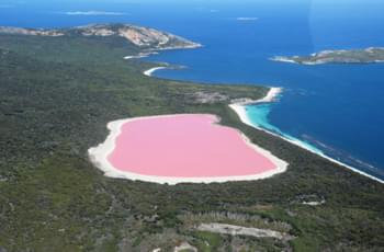 Roze Meer, West-Australië